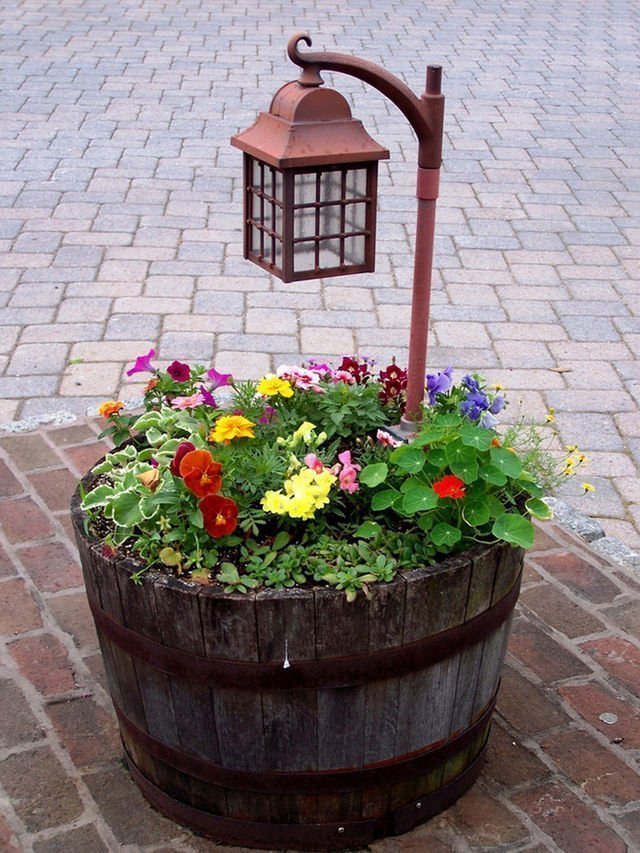 Tận dụng thùng cũ trồng hoa trước hiên nhà
